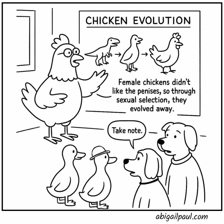 Comic showing a person explaining "Chickens don't like penises. Most species with penises use them violently. So chickens evolved them away." Another person responds "Why can't humans do that?"